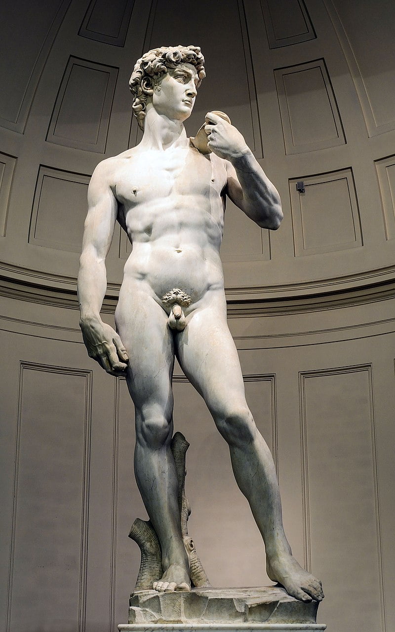 Davut(Michelangelo)