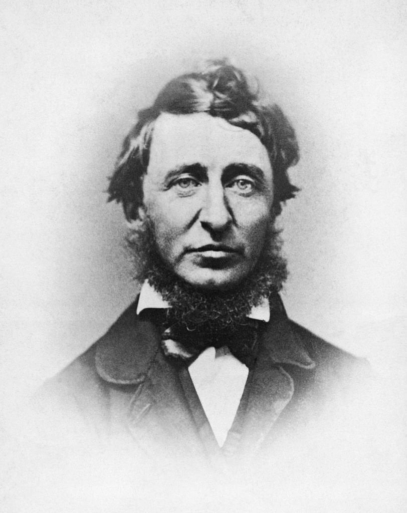 Thoreau'nun Sivil İtaatsizlik Hareketine Etkisi