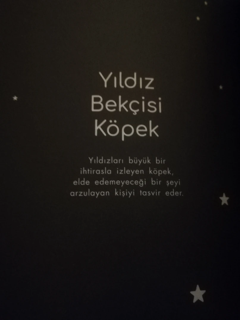 Yıldız Bekçisi Köpek